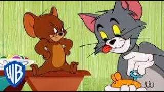 Tom and Jerry The Great Friendship Adventure of  " - A Heartwarming Tale