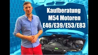 Kaufberatung & häufige Probleme BMW M54 Motoren 320i 325i 330i 520i 525i 530i