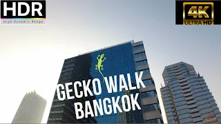 4K HDR GECKO WALK BANGKOK IN DIRECTION GOETHE INSTITUTE