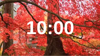 🍁🍂🎃10 Minute Timer Relaxing Music Lofi Fall Red Leaves  Halloween 🎃🍂🍁