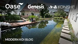 Modern Koi Blog #5525 - Harrys Riesenteich einen Tag nach einem Sturm