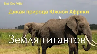 Nat Geo Wild.Дикая природа Южной Африки.Земля гигантов.