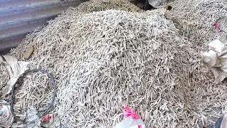 Chalk Piece Making Process | Bulk Making of Chalk Piece | Factory Making | How to Make Chalk Piece?