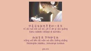 Ni Luo Zai Shengming Li De Guang 你落在生命力的光 || Lyric Pinyin [Ind Sub]