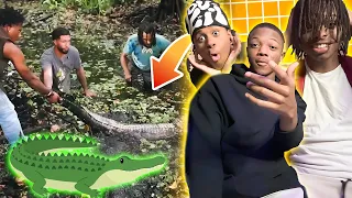 IShowSpeed Goes ALLIGATOR CATCHING 🐊...Terrible Idea (Reaction)