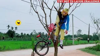 Try Not To Laugh 🤣 🤣 Top New Comedy Videos 2020 - Episode 47 | Sun Wukong