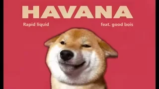 Havana - Shibe cover