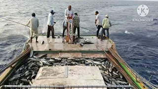 #Amg Fishing#offshore fishing #big fishing #boat fishing #minicoy#amazing #lakshadweep trip #sport