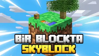 1 BLOKTA SKYBLOCK / Sınırsız Kaynaklı Skyblock