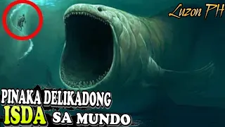 10 Pinakadelikadong ISDA Sa Buong Mundo | Pinaka mapanganib Na ISDA sa Mundo | Delikadong Isda