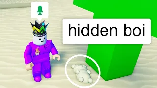 Roblox Find The Pandas BUT Find The Hidden Ones