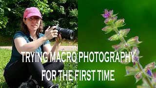 Trying macro photography with the Nikon Z MC 105mm f/2.8 VR S macro lens