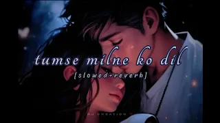 tumse milne ko dil karta hai[slowed+reverb]❣️😌|phool aur kante|ajay devgon#chill#alkayagnik#trending