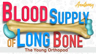 Blood Supply of Long Bone | ANIMATION | USMLE | Anatomy, Lecture | NEET PG, MRCS, The Young Orthopod