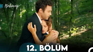 Ateşböceği 12.Bölüm (FULL HD)