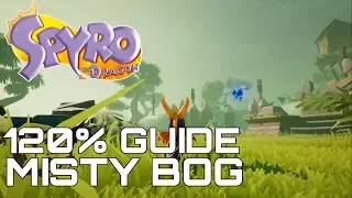 Spyro The Dragon (Reignited) 120% Guide MISTY BOG (ALL GEMS, EGGS, DRAGONS...)