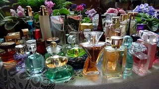 моя коллекция ароматов Орифлейм  (по запросу)