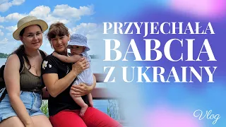 Babcia przyjechała z Ukrainy do wnuka