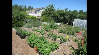 Vegetable Garden Tour #2 (June): Everyone Can Grow a Garden (2021) #27