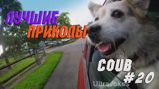 COUB ЛУЧШЕЕ #20 НАРЕЗКА ПРИКОЛОВ 2015 ПРИКОЛЫ И НЕУДАЧИ