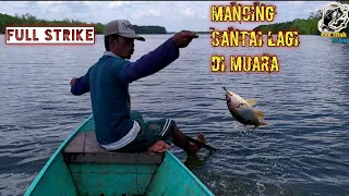 SENSASI MANCING DI MUARA BERAU KALIMANTAN TIMUR, UMPAN UDANG HIDUP