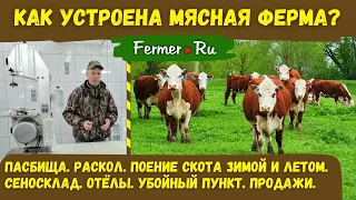 Как устроен бизнес в мясном скотоводстве? Успешный фермер Андрей Давыдов. От отёла до продажи мяса