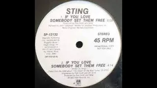 Sting If You Love Somebody Set Them Free Lyrics