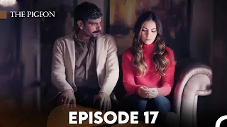 The Pigeon Episode 17 (FULL HD)