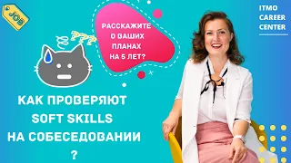 Какие вопросы вам зададут для оценки ваших Soft skills?