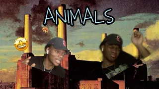 Pink Floyd - Animals(Side 1) Full Album REACTION!!!(First Time Hearing)