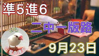 今彩539 【9月23日(四)】『二中一版路 準5進6』 -鳥半仙