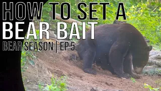 HOW TO SET UP A BEAR BAIT | Hunt Weekly