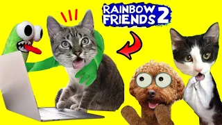 Gato vs juguetes de Blue y Green de Rainbow Friends 2 en la vida real / Videos de gatos graciosos