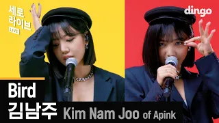 "Bird" by KIM NAM JOO of Apink, written and composed by So-yeon of (G)I-DLE 🦅 ㅣDingo Music