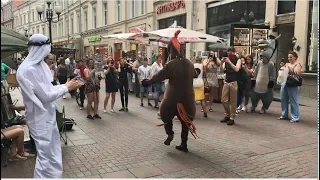 Лошадь Танцует Чеченскую Лезгинку На Арбатской 2019 ALISHKA DEADPOOL (Москва)