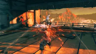 Sekiro great shinobi Owl no damage, Shadowfall combat art (no HUD bossfight)