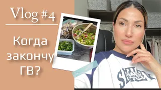 VLOG #4 БЮДЖЕТНАЯ ЗАГОТОВКА ПРОДУКТОВ | О ЗАВЕРШЕНИИ ГВ | ГДЕ ХОМЯК? 29 марта 2024 г.