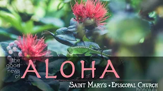 The Good News of Aloha