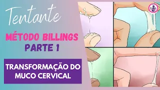 TRANSFORMAÇÃO DO MUCO CERVICAL - Método Billings Parte 1