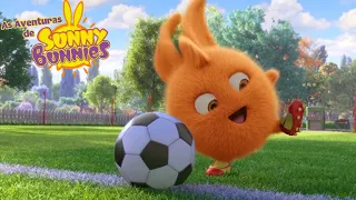 As Aventuras de Sunny Bunnies | Time de futebol | Series 2 | Desenhos Animados Infantis