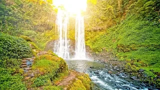 Musica rilassante e Suoni della Natura: Bellissimo Pianoforte, Suoni d'Acqua, il Sonno della Musica