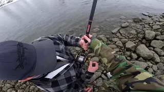 Catching a 400lbs Sturgeon from the Bank!