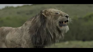 MPC's 'The Lion King' VFX Breakdown