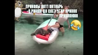 ПРИКОЛЫ 2017 Октябрь #2 ржака до слез угар прикол ржач - ПРИКОЛЮХА