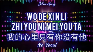 Wo De Xin Li Zhi You Ni Mei You Ta 我的心里只有你没有他 - NO VOCAL