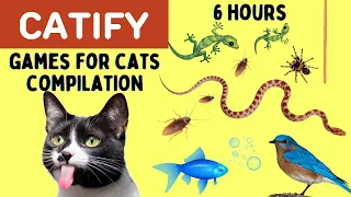 Games For Cats [Compilation] - 6 HOURS - Snake, lizard, fish, rope, mice, cockroach, spider, bird...