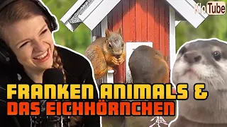Sintica Reaktion | Franken Animals und von KloTube Das Eichhörnchen Parodie
