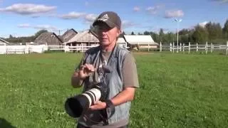 Как фотографировать лошадей красиво
