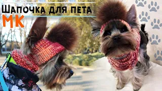 Шапка для собаки спицами 🐶Мастер-класс | Шапочка для йорка | DIY hat for dog