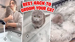 THE BEST HACK WHEN GROOMING YOUR CAT